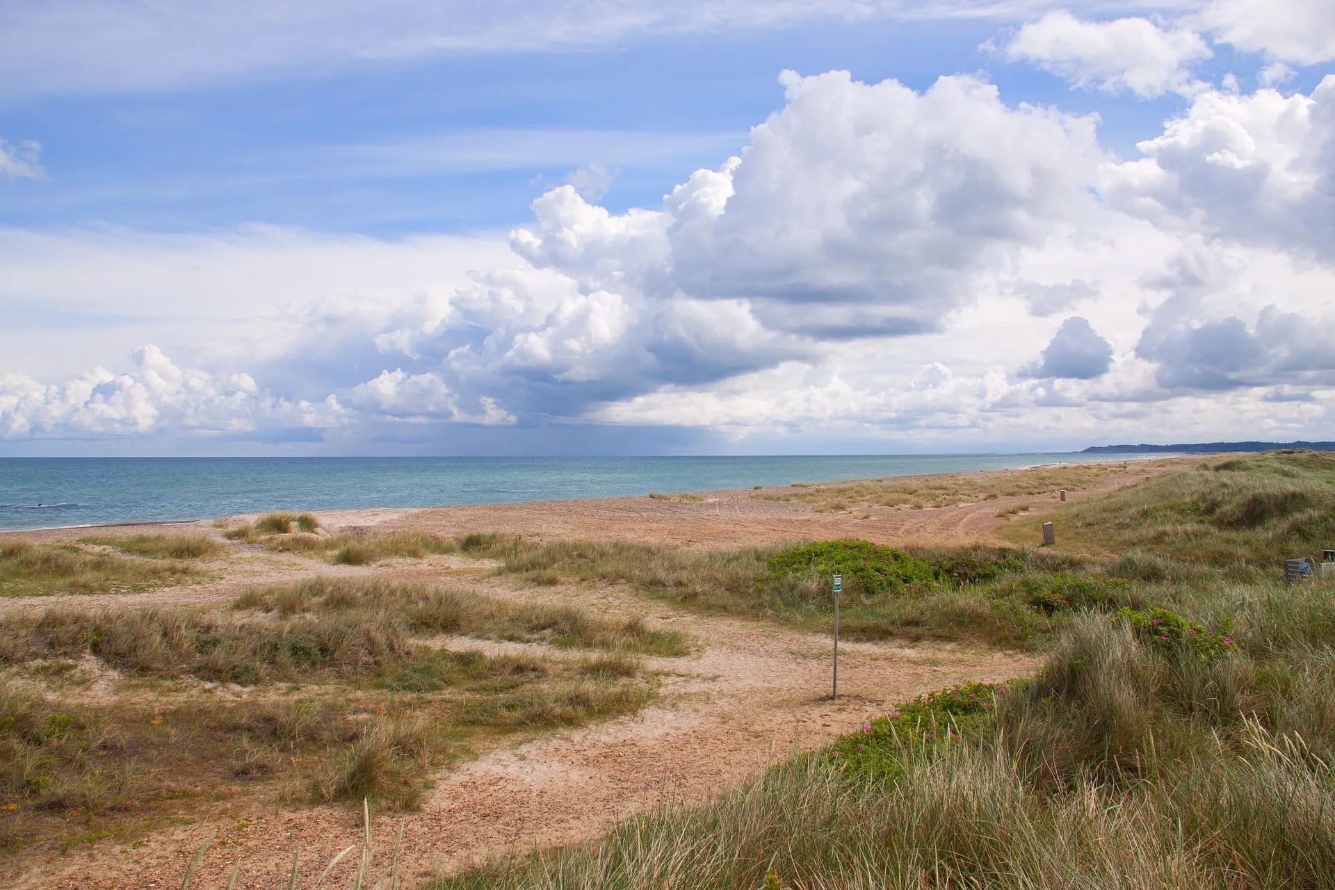 Cover image of Portuguese Way