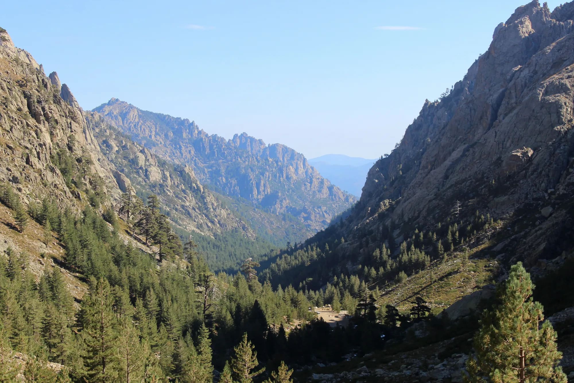 Cover image of Original Way