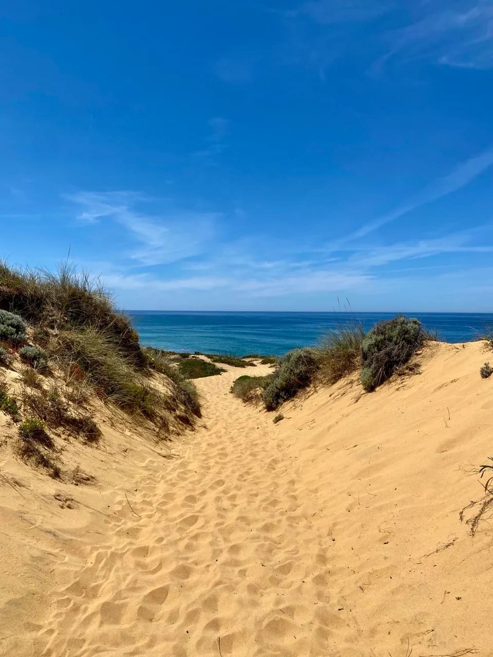 Cover image of Fishermen's Trail
