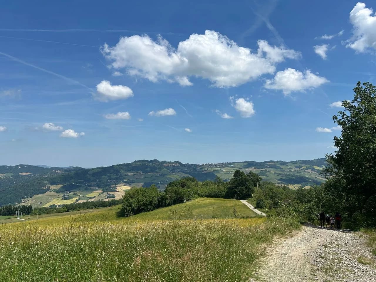 Cover image of French Way