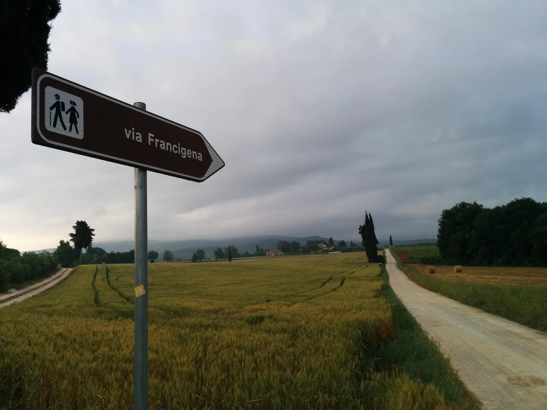 Cover image of Magna Via Francigena